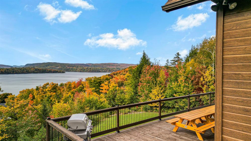Terrasse avec barbecue et table de pique-nique, vue sur le lac et les arbres en automne